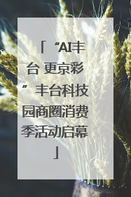 “AI丰台 更京彩”丰台科技园商圈消费季活动启幕