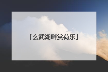 玄武湖畔赏荷乐