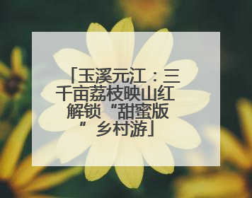 玉溪元江：三千亩荔枝映山红 解锁“甜蜜版”乡村游