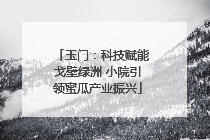 玉门：科技赋能戈壁绿洲 小院引领蜜瓜产业振兴