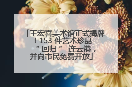王宏喜美术馆正式揭牌！153 件艺术珍品 “ 回归 ” 连云港，并向市民免费开放