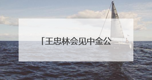 王忠林会见中金公司董事长陈亮 持续深化务实合作 做强支点建设金融支撑