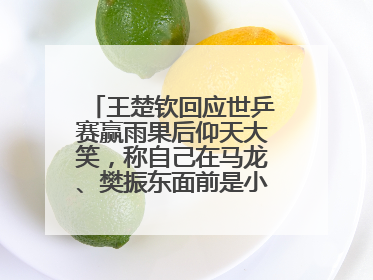 王楚钦回应世乒赛赢雨果后仰天大笑，称自己在马龙、樊振东面前是小孩，巴黎奥运被孙颖莎带着打