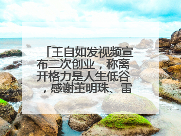 王自如发视频宣布二次创业，称离开格力是人生低谷，感谢董明珠、雷军，还回应了“工资条”：清楚自己要什么……