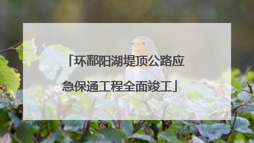环鄱阳湖堤顶公路应急保通工程全面竣工