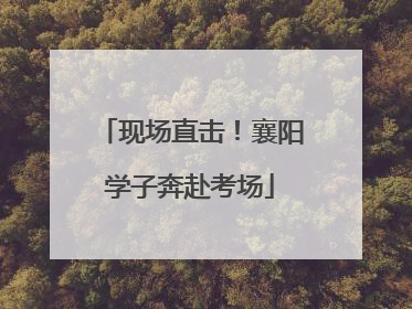 现场直击！襄阳学子奔赴考场