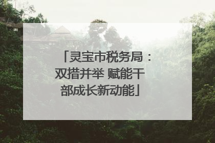 灵宝市税务局：双措并举 赋能干部成长新动能