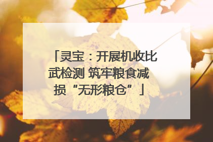 灵宝：开展机收比武检测 筑牢粮食减损“无形粮仓”