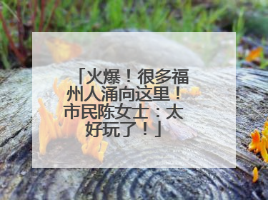 火爆！很多福州人涌向这里！市民陈女士：太好玩了！