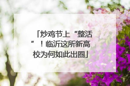 炒鸡节上“整活”！临沂这所新高校为何如此出圈