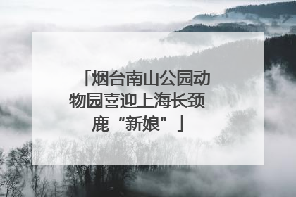 烟台南山公园动物园喜迎上海长颈鹿“新娘”