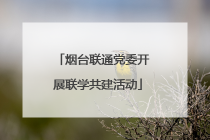 烟台联通党委开展联学共建活动