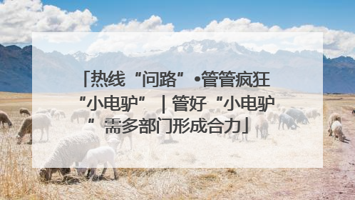 热线“问路”•管管疯狂“小电驴”｜管好“小电驴”需多部门形成合力