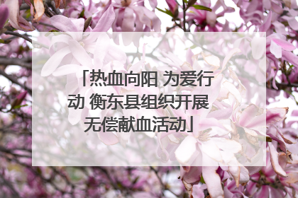 热血向阳 为爱行动 衡东县组织开展无偿献血活动