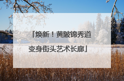 焕新！黄陂锦秀道变身街头艺术长廊