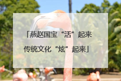 燕赵国宝“活”起来 传统文化“炫”起来