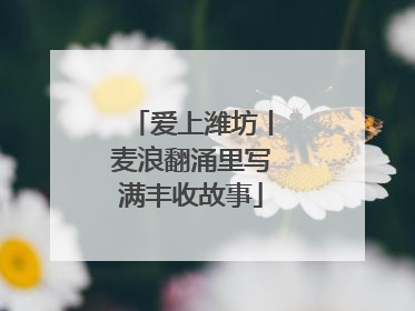 爱上潍坊丨麦浪翻涌里写满丰收故事