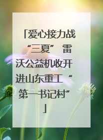 爱心接力战“三夏” 雷沃公益机收开进山东重工“第一书记村”