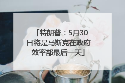 特朗普：5月30日将是马斯克在政府效率部最后一天