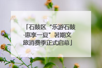 石鼓区“乐游石鼓·惠享一夏”暑期文旅消费季正式启幕