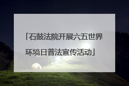 石鼓法院开展六五世界环境日普法宣传活动