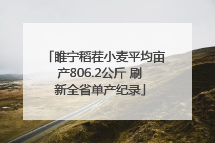 睢宁稻茬小麦平均亩产806.2公斤 刷新全省单产纪录