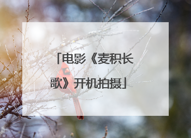电影《麦积长歌》开机拍摄
