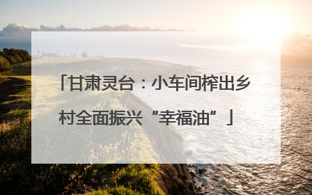 甘肃灵台：小车间榨出乡村全面振兴“幸福油”