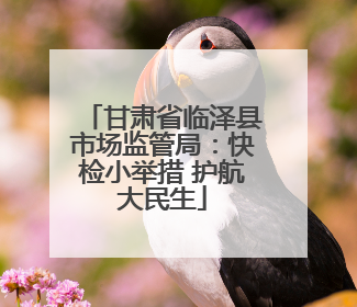 甘肃省临泽县市场监管局：快检小举措 护航大民生