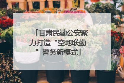 甘肃民勤公安聚力打造“空地联勤”警务新模式