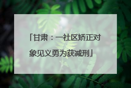 甘肃：一社区矫正对象见义勇为获减刑