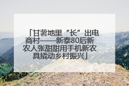 甘薯地里“长”出电商村——新泰80后新农人张甜甜用手机新农具撬动乡村振兴