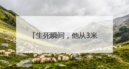 生死瞬间，他从3米高的桥面纵身一跃