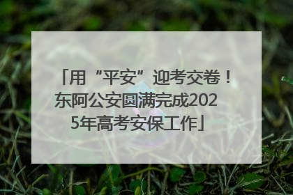 用“平安”迎考交卷！东阿公安圆满完成2025年高考安保工作