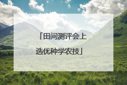 田间测评会上选优种学农技