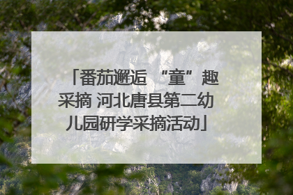 番茄邂逅 “童”趣采摘 河北唐县第二幼儿园研学采摘活动