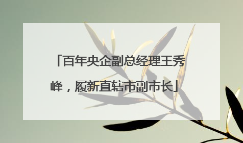 百年央企副总经理王秀峰，履新直辖市副市长
