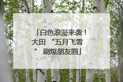 白色浪漫来袭！大田 “五月飞雪” 刷爆朋友圈