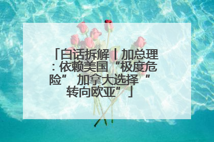 白话拆解丨加总理：依赖美国“极度危险” 加拿大选择“转向欧亚”