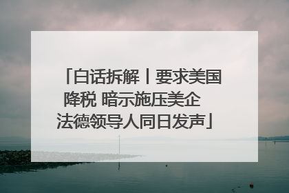 白话拆解丨要求美国降税 暗示施压美企 法德领导人同日发声