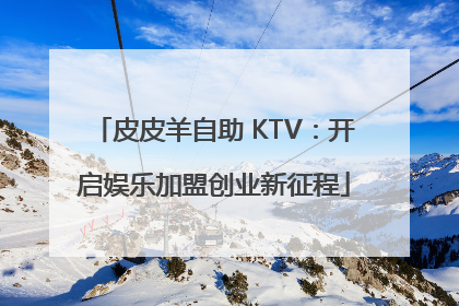 皮皮羊自助 KTV：开启娱乐加盟创业新征程