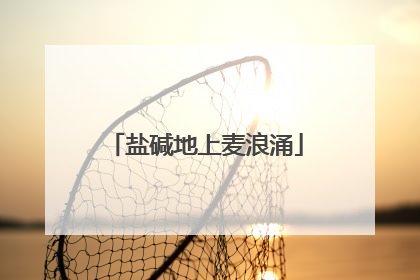 盐碱地上麦浪涌