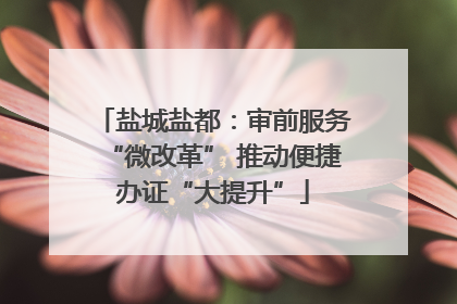盐城盐都：审前服务“微改革” 推动便捷办证“大提升”