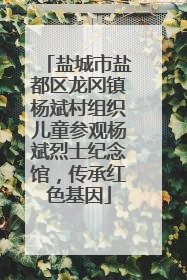 盐城市盐都区龙冈镇杨斌村组织儿童参观杨斌烈士纪念馆，传承红色基因