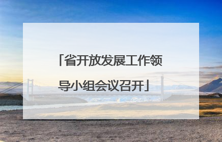 省开放发展工作领导小组会议召开