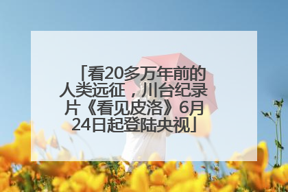 看20多万年前的人类远征，川台纪录片《看见皮洛》6月24日起登陆央视