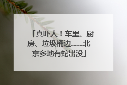 真吓人！车里、厨房、垃圾桶边……北京多地有蛇出没