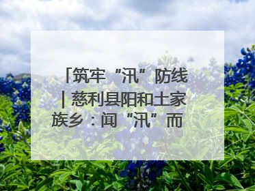 筑牢“汛”防线｜慈利县阳和土家族乡：闻“汛”而动 全员下沉筑牢防汛“安全堤”