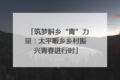 筑梦斛乡“青”力量：太平畈乡乡村振兴青春进行时