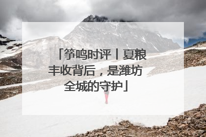 筝鸣时评丨夏粮丰收背后，是潍坊全城的守护